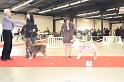 PDS - 0422